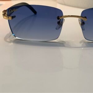 Cartier Genuine Horn Frames